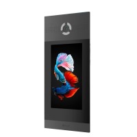 AA-14FBIS BLACK. Вызывная панель IP-домофона. BAS-IP