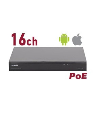 RK2216-P. Видеорегистратор IP 16-канальный. Beward в Вологде