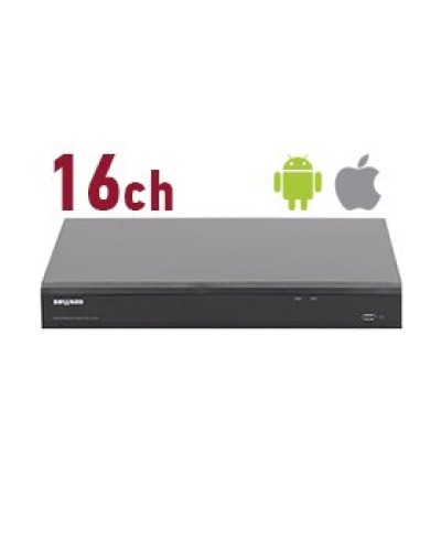 RK2216. Видеорегистратор IP 16-канальный. Beward в Вологде