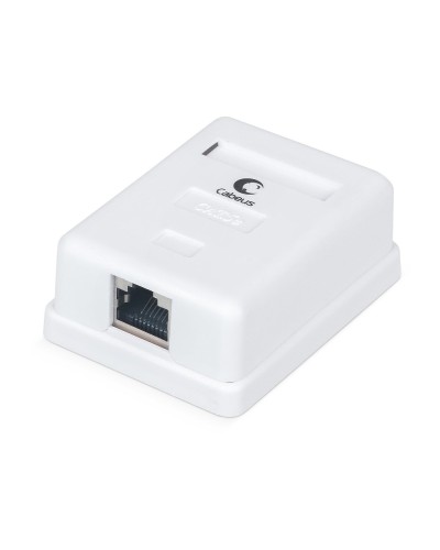 WS-8P8C-Cat.5e-SH-1 (7485c): Розетка RJ-45 в Вологде