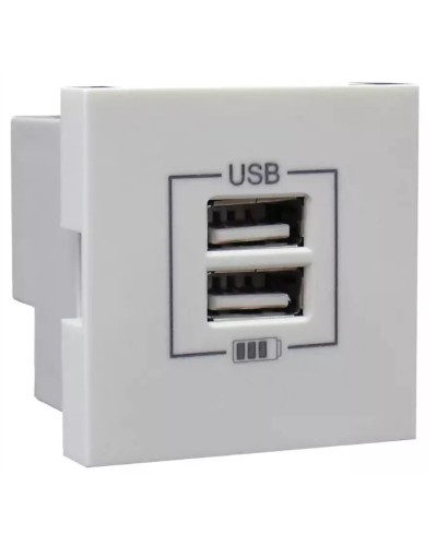 Розетка USB двойная, зарядная, белая (45439 SBR): Розетка USB двойная в Вологде
