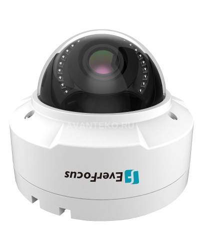EHN-1250. Видеокамера IP купольная. EverFocus в Вологде