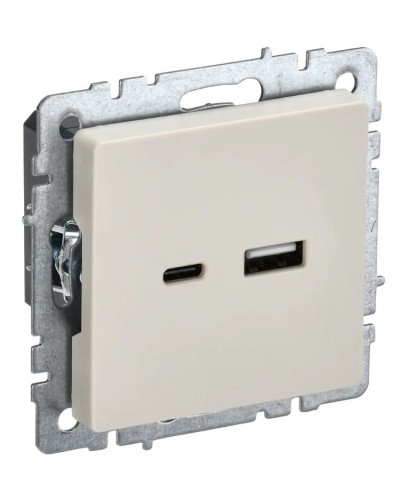 Розетка USB A+C 18Вт РЮ11-1-БрКр бежевый BRITE (BR-U22-018-K10). Розетка USB. IEK в Вологде
