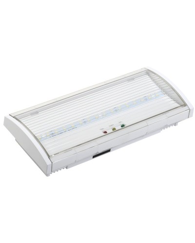 Светильник аварийный ДПА 5040-1 1ч IP54 LIGHTING (LDPA0-5040-1H-K01). Светильник аварийный постоянного действия. IEK в Вологде