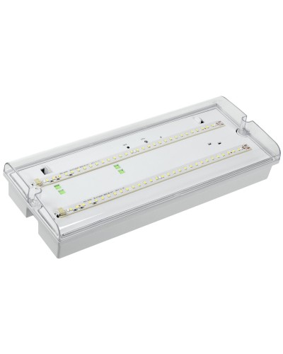 Светильник аварийный ДПА 5042-1 1ч IP65 LIGHTING (LDPA0-5042-1-65-K01). Светильник аварийный универсальный. IEK в Вологде