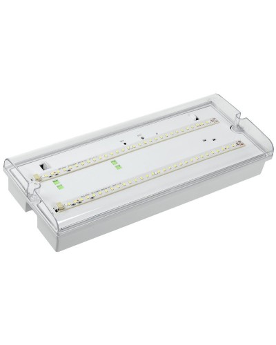 Светильник аварийный ДПА 5042-3 3ч IP65 LIGHTING (LDPA0-5042-3-65-K01). Светильник аварийный универсальный. IEK в Вологде