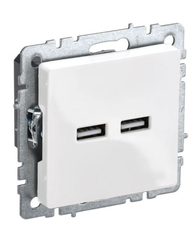 Розетка USB A+A 3,1А РЮ10-1-БрБ белый BRITE (BR-U21-D31-K01). Розетка USB. IEK в Вологде