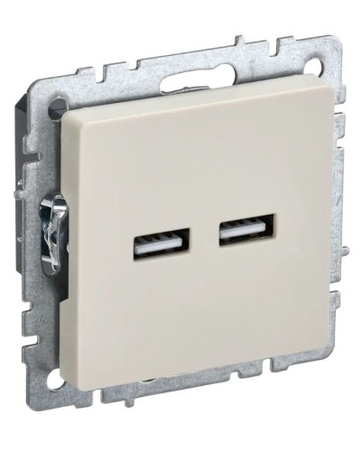 Розетка USB A+A 3,1А РЮ10-1-БрКр бежевый BRITE (BR-U21-D31-K10). Розетка USB. IEK в Вологде