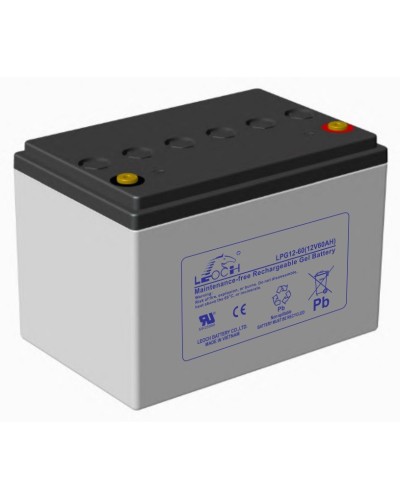 LEOCH LPG 12-60. Аккумулятор герметичный свинцово-кислотный. LEOCH в Вологде