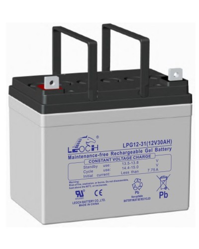 LEOCH LPG 12-31. Аккумулятор герметичный свинцово-кислотный. LEOCH в Вологде