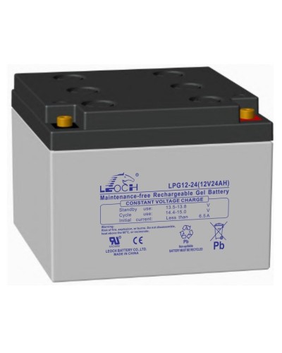 LEOCH LPG 12-24. Аккумулятор герметичный свинцово-кислотный. LEOCH в Вологде