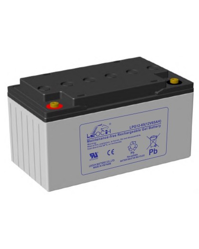 LEOCH LPG 12-65. Аккумулятор герметичный свинцово-кислотный. LEOCH в Вологде