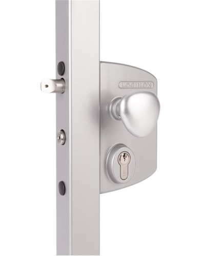 LIKQ4040 U2L (цвет: RAL 9005, черный). Замок электромеханический для калиток. Locinox в Вологде
