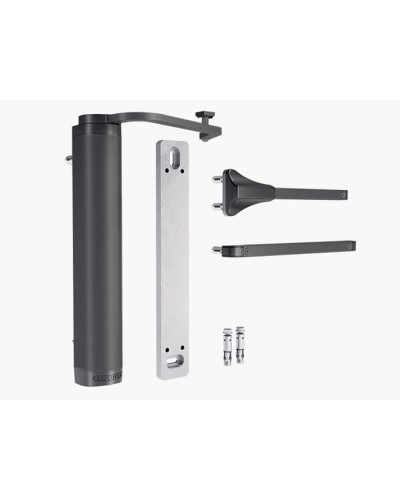 VERTICLOSE-2-WALL-9005. Доводчик гидравлический. Locinox в Вологде