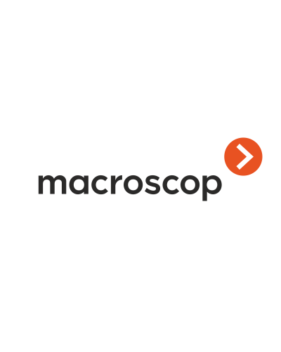 Расширение с LS до ST. Программное обеспечение (опция). MACROSCOP в Вологде