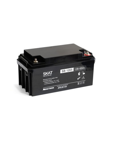 SKAT SB 1265 (2541). Аккумулятор герметичный свинцово-кислотный. Бастион в Вологде