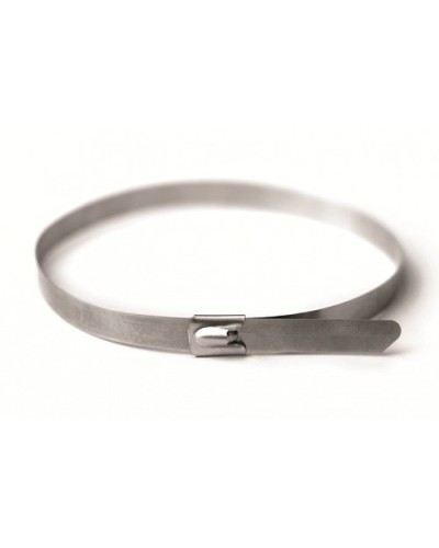 Хомут из нержавеющей стали AISI 316 4,6х400 (30 шт) (27608): Хомут из нержавеющей стали в Вологде