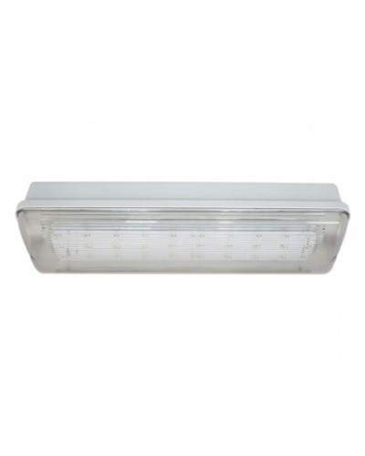 SL-223-30LED1.8 исп.1 IP54. Светильник аварийного освещения. ИП Раченков А.В. в Вологде