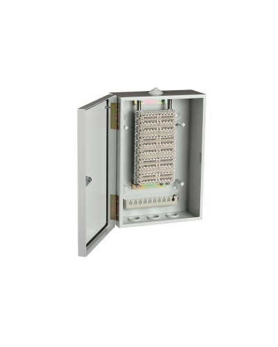 ШРН-В/100-Р (120908-00122). Шкаф ШРН-В/100-Р, плинт ПВТ-10Р-5е. ССД (Связьстройдеталь) в Вологде