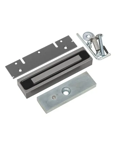 ML-200K Premium Grey с планкой. Замок электромагнитный. AccordTec в Вологде