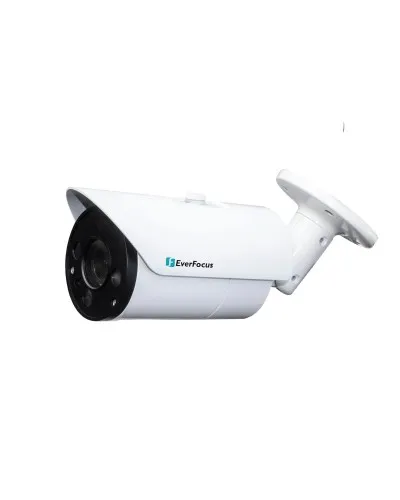 EZN-268V. Видеокамера IP купольная. EverFocus в Вологде