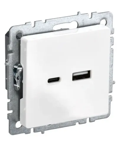 Розетка USB A+C 18Вт РЮ11-1-БрБ белый BRITE (BR-U22-018-K01). Розетка USB. IEK в Вологде