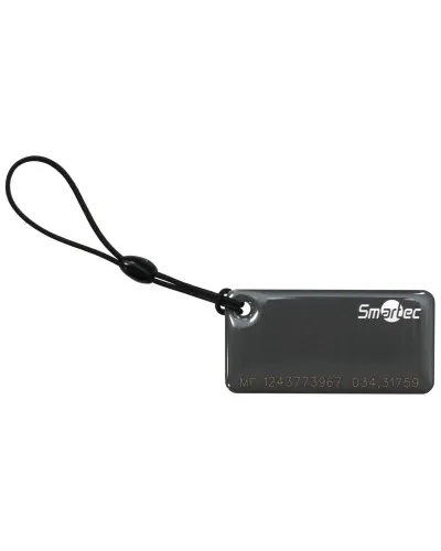 ST-PT015MF-GR. Брелок. Smartec в Вологде