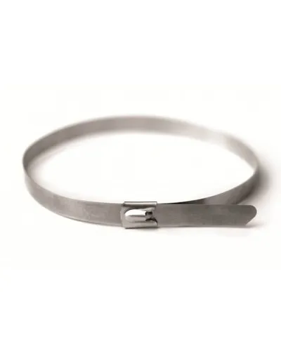 Хомут из нержавеющей стали AISI 304 4,6х240 (50 шт) (27405): Хомут из нержавеющей стали в Вологде
