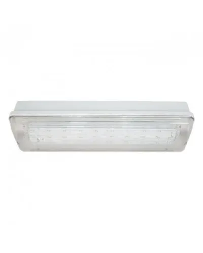 SL-223-30LED1.8 исп. 1, IP65. Светильник аварийного освещения. ИП Раченков А.В. в Вологде