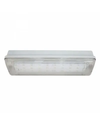 SL-213-30LED1.8 исп.1 IP54. Светильник аварийного освещения. ИП Раченков А.В. в Вологде