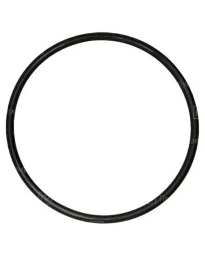 Кольцо резиновое уплотнительное для двустенной трубы D160 (PR08.3502). Кольцо резиновое уплотнительное для двустенной трубы. Промрукав в Вологде